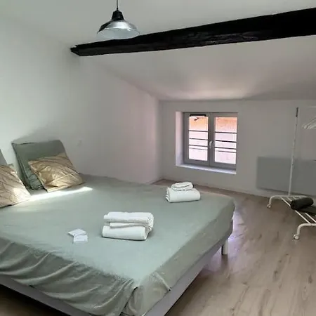 Joli En Centre-ville Appartement Le Puy-en-Velay